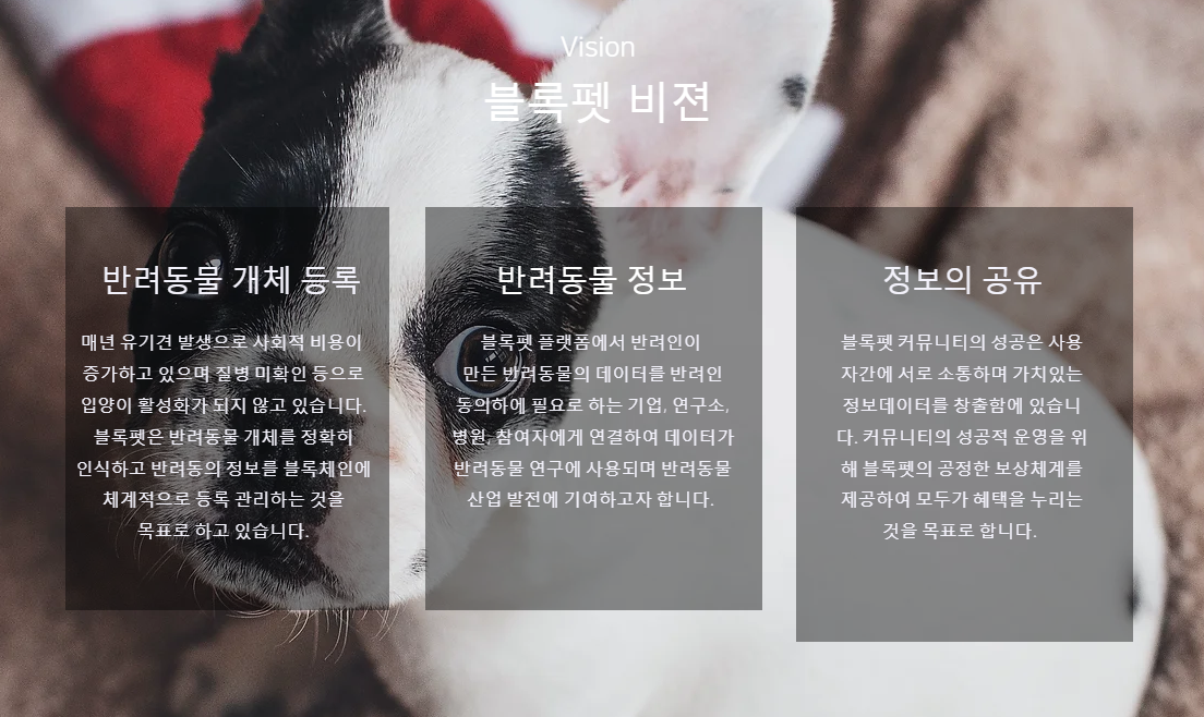 이미지3